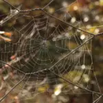 Hvordan undgår jeg, at min vaskepose går i stykker under brug?